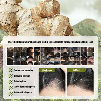 Ginger Plant Extract Hair Thickening Shampoo