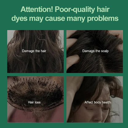 Plant Extract Bubble Hair Dye🎅 Christmas Must Have Hair Color🎅