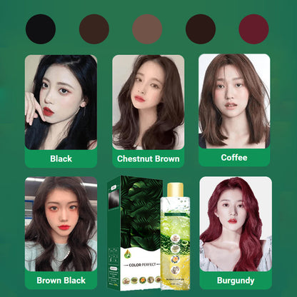 Plant Extract Bubble Hair Dye🎅 Christmas Must Have Hair Color🎅