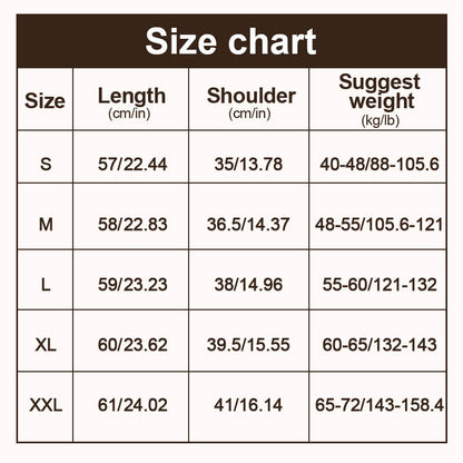 Erin 100% Wool Simple Mock Neck Slim Fit Sweater