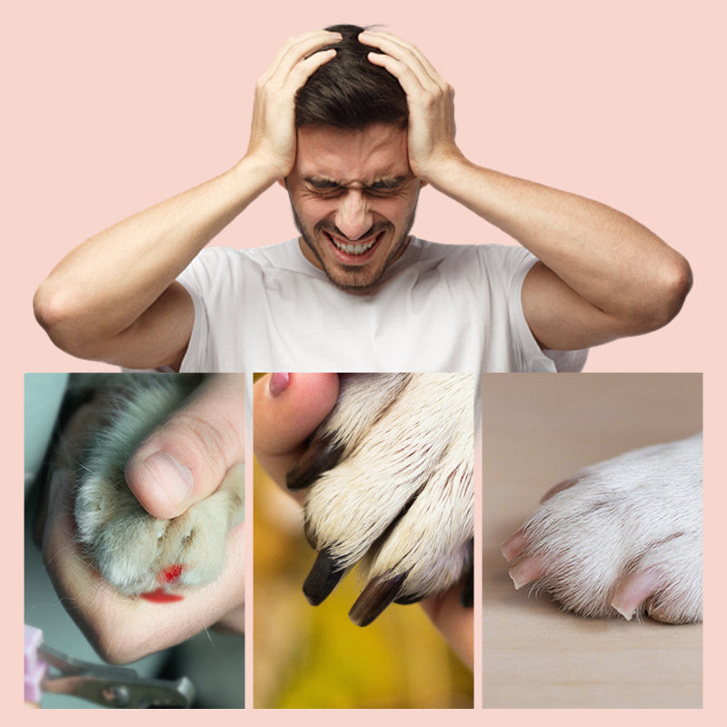 Trim Nails Like a Vet Pro! ✂️🏆 | Smart LED Pet Grinder - See Blood Vessels, Zero Ouch Guarantee