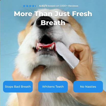 Natural Pet Dental Finger Wipes